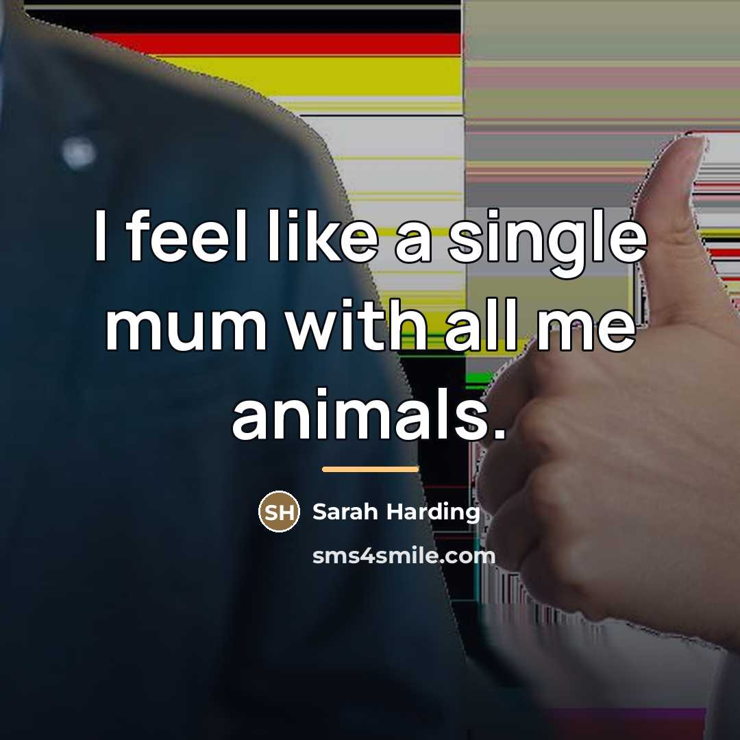“I feel like a single mum with all me animals.…” quote by Sarah Harding