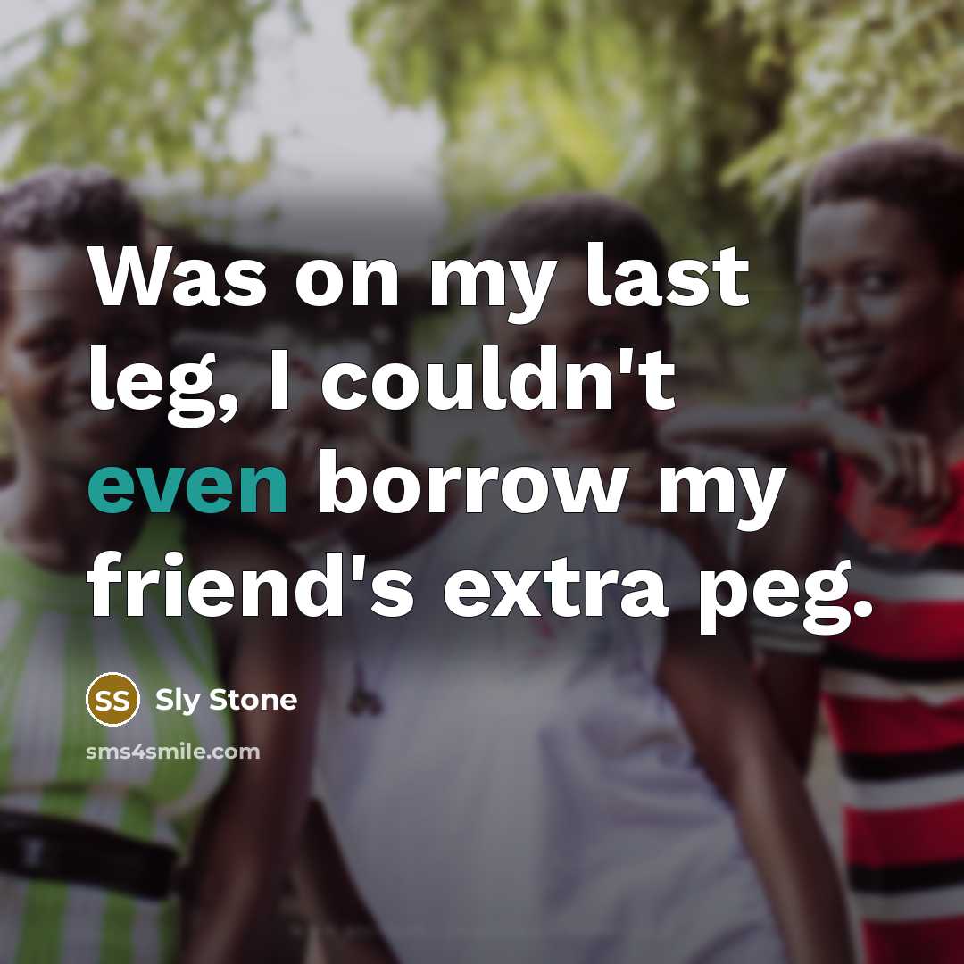 “Was on my last leg, I couldn't even borrow my…” quote by Sly Stone