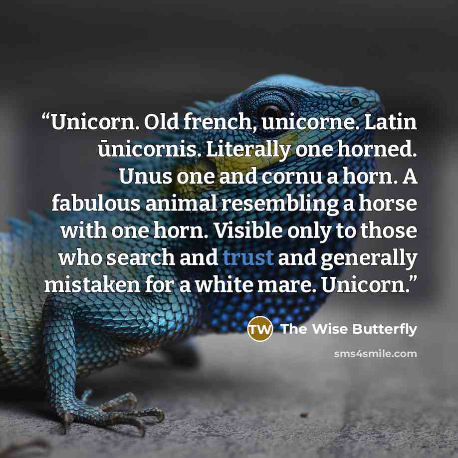 “Unicorn. Old french, unicorne. Latin ūnicornis. Literally one horned. Unus one and cornu a horn. A fabulous animal resembling a horse with one horn. Visible only to those who search and trust and generally mistaken for a white mare. Unicorn.” quote by The Wise Butterfly