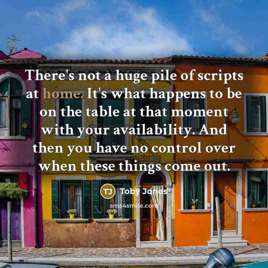 “There's not a huge pile of scripts at home. It's…” quote by Toby Jones
