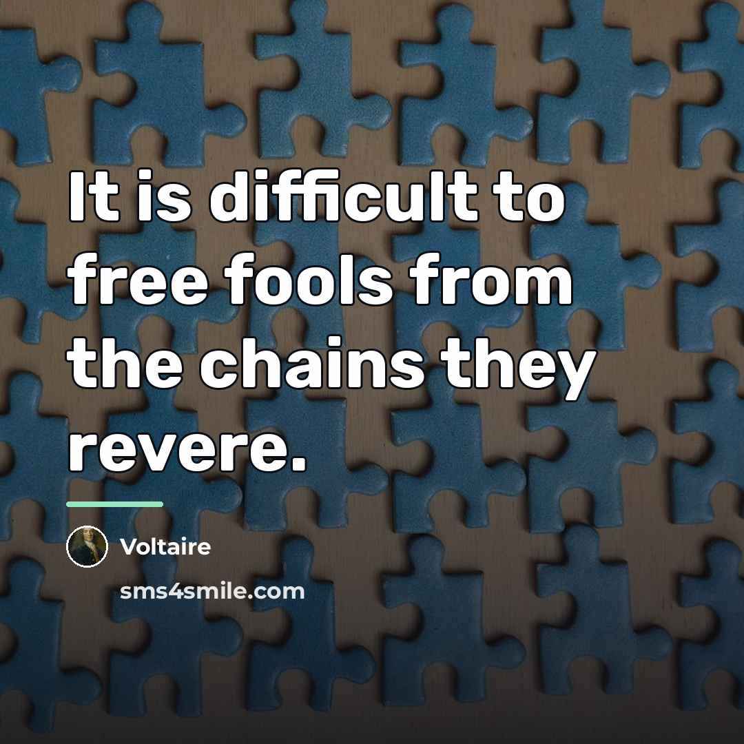 “It is difficult to free fools from the chains they…” quote by Voltaire