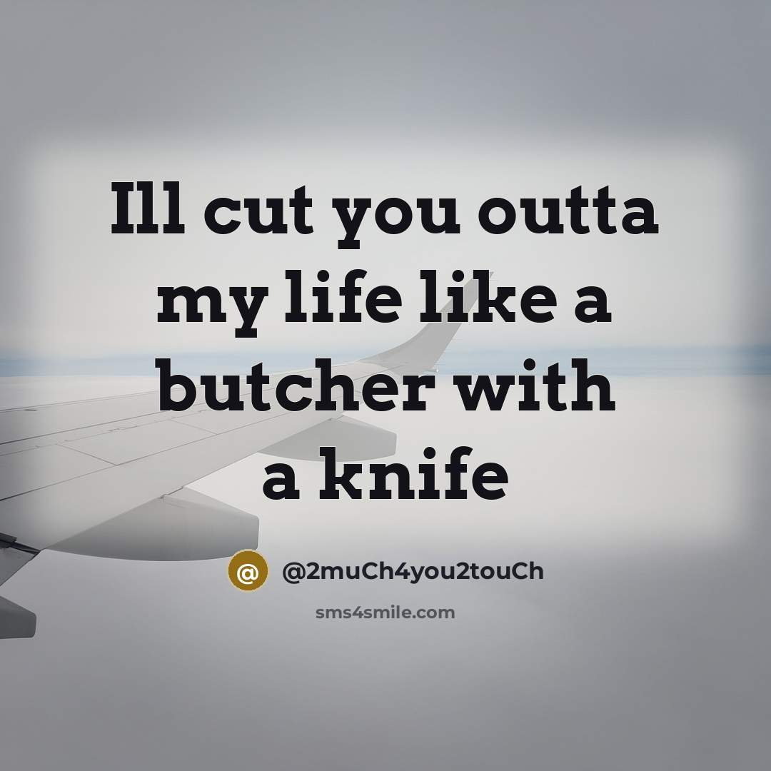 “Ill cut you outta my life like a butcher with a knife” quote by @2much4you2touch