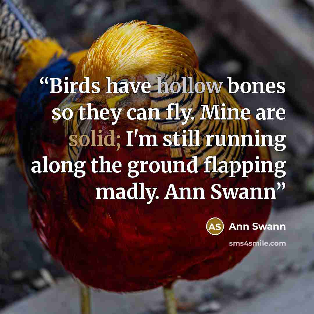 “Birds have hollow bones so they can fly. Mine are solid; I'm still running along the ground flapping madly. Ann Swann” quote by Ann Swann
