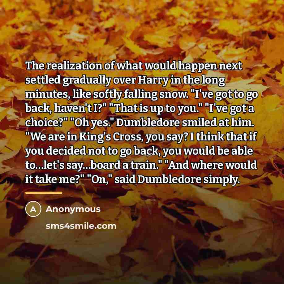 “The realization of what would happen next settled gradually over…” quote by Anonymous