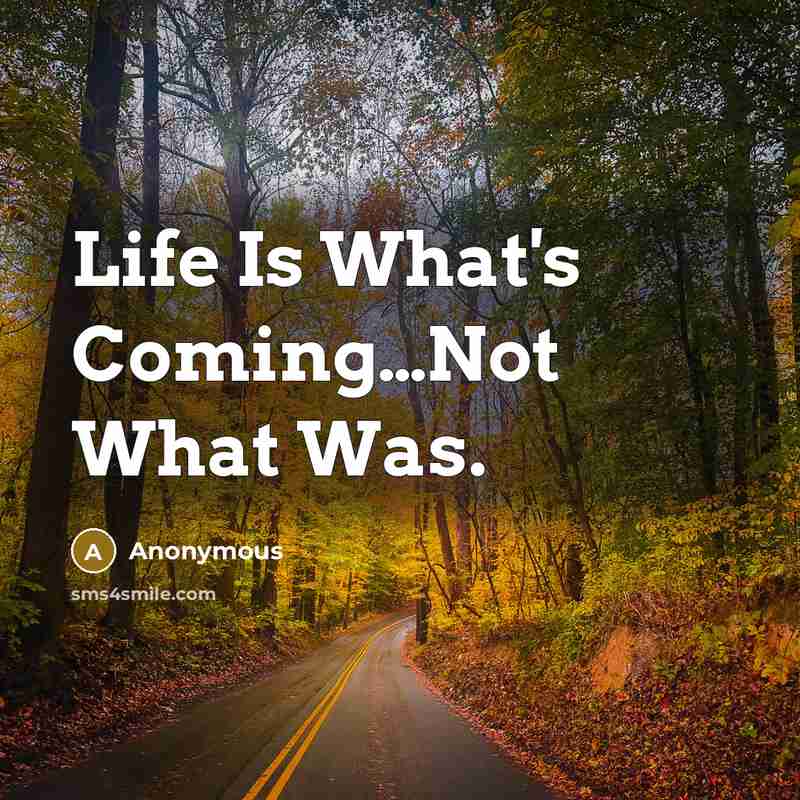 “Life Is What's Coming…Not What Was.” quote by Anonymous