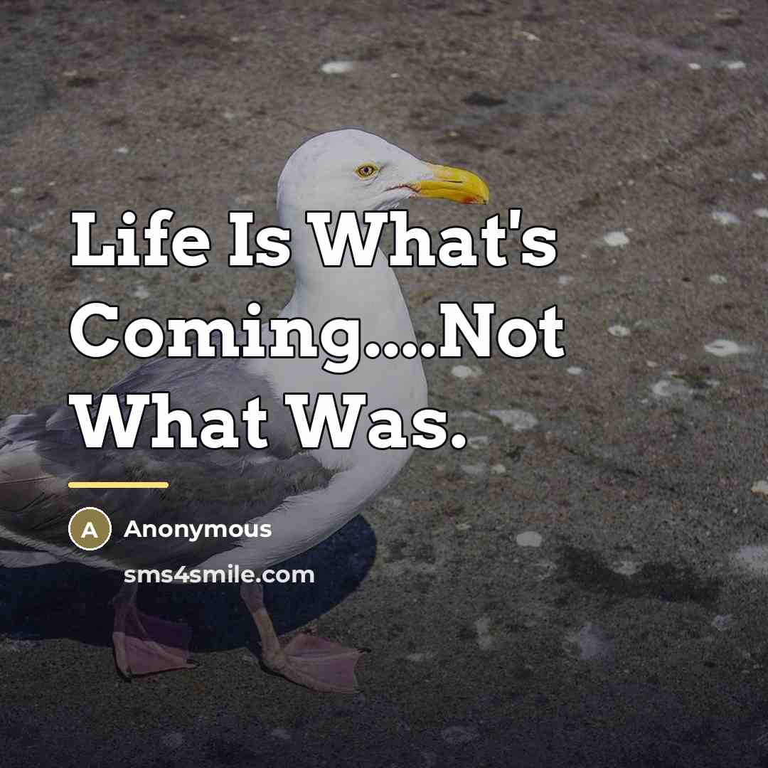 “Life Is What's Coming....Not What Was.…” quote by Anonymous