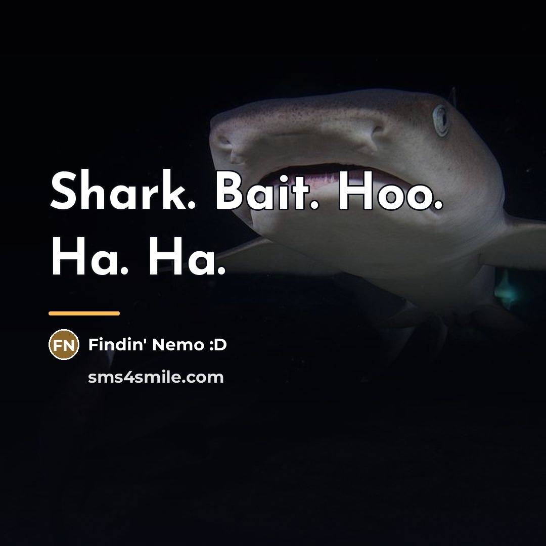 “Shark. Bait. Hoo. Ha. Ha.…” quote by Findin' Nemo :D
