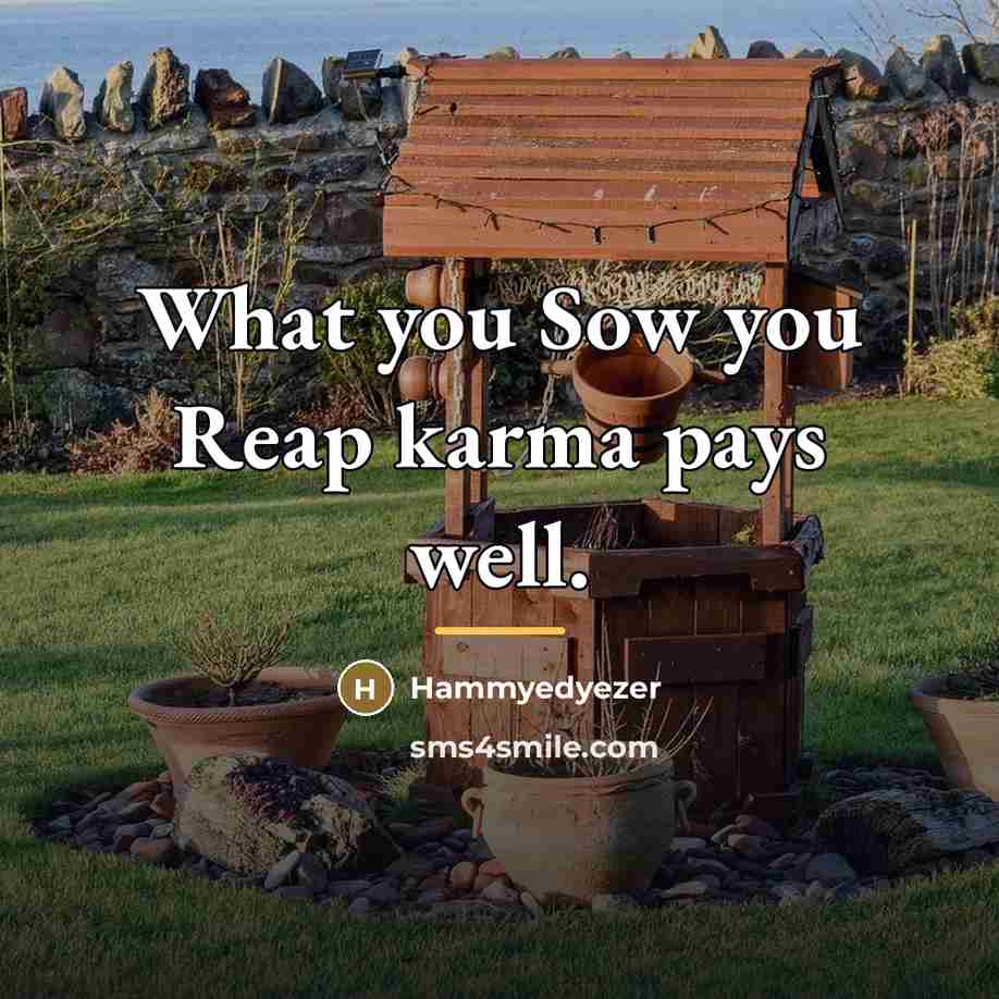 “What you Sow you Reap karma pays well.…” quote by Hammyedyezer