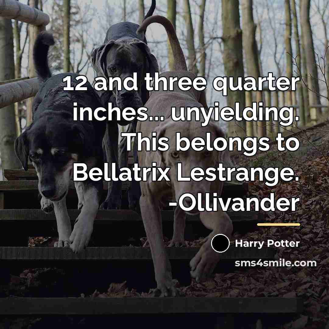 “12 and three quarter inches... unyielding. This belongs to Bellatrix…” quote by Harry Potter