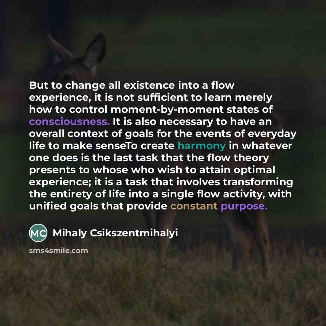 “But to change all existence into a flow experience, it…” quote by Mihaly Csikszentmihalyi
