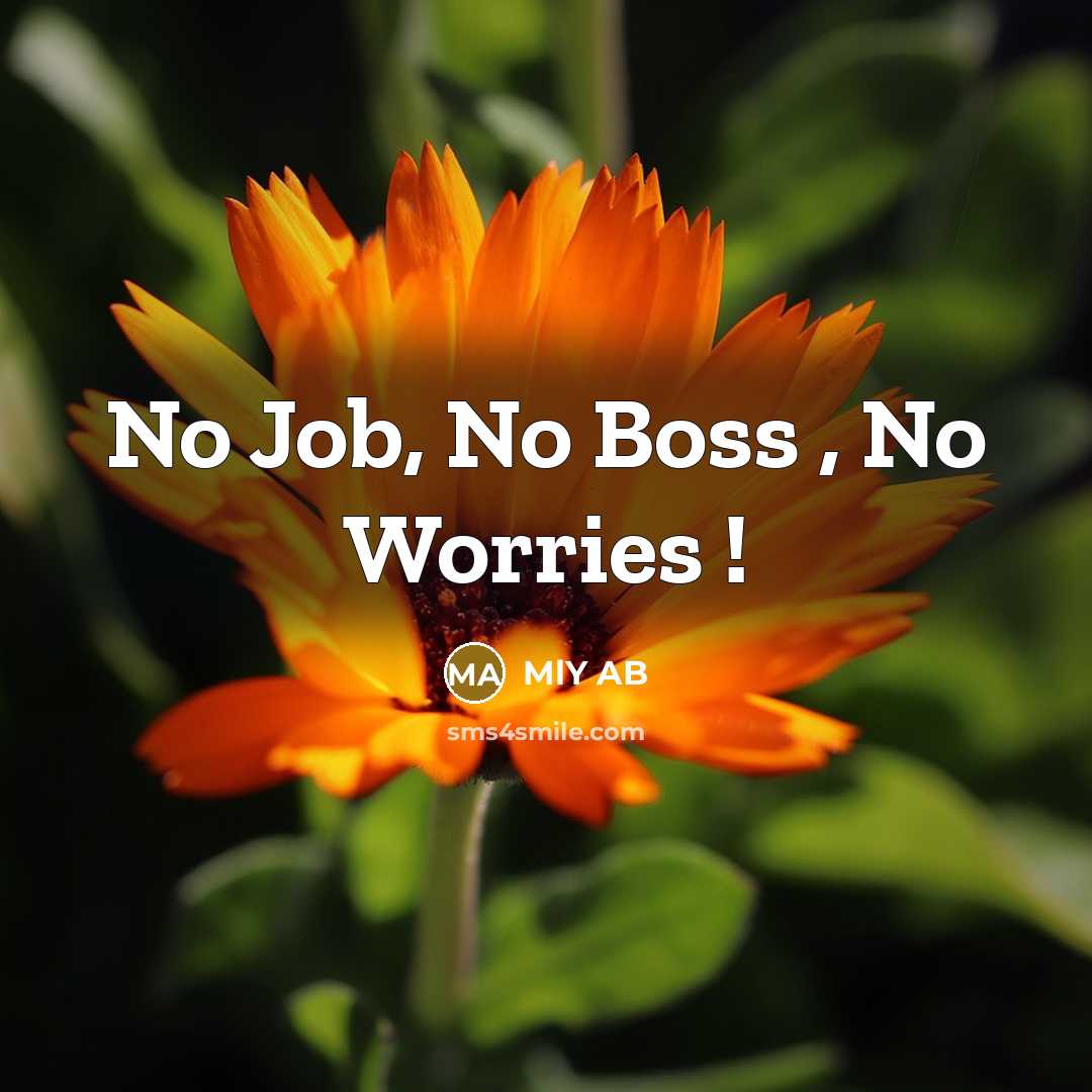 “No Job, No Boss , No Worries !…” quote by MlY AB