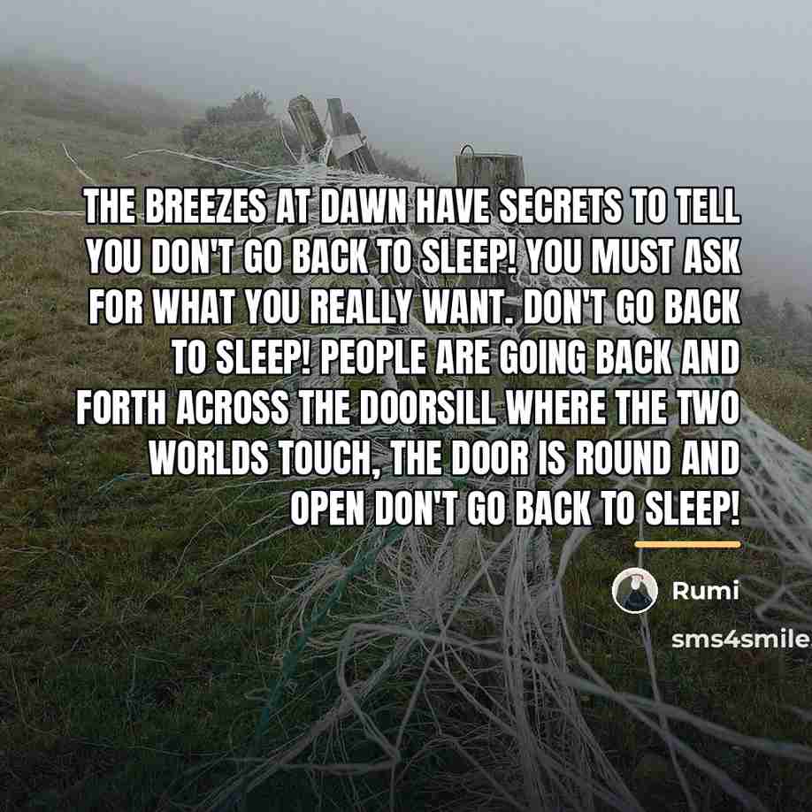 “The breezes at dawn have secrets to tell you Don't…” quote by Rumi