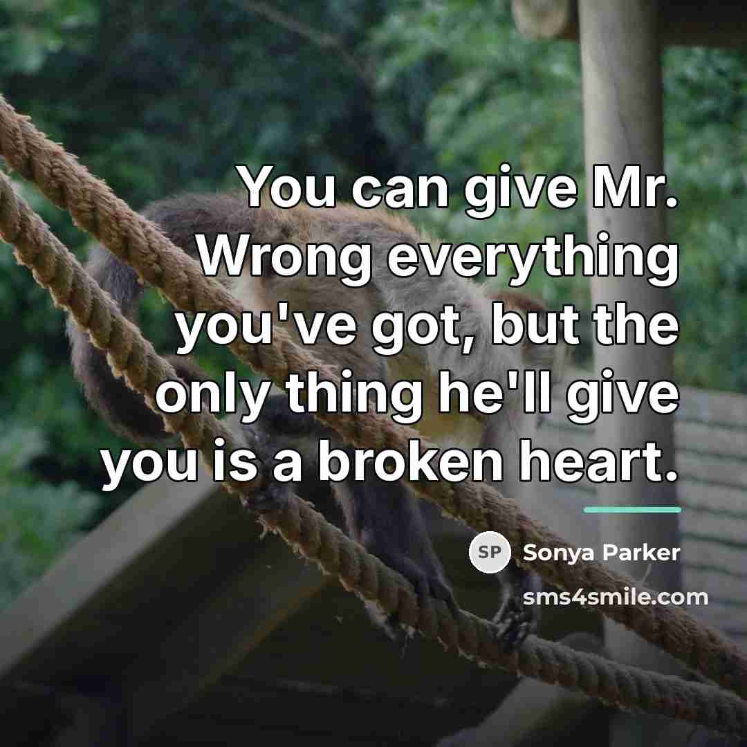 “You can give Mr. Wrong everything you've got, but the…” quote by SONYA PARKER