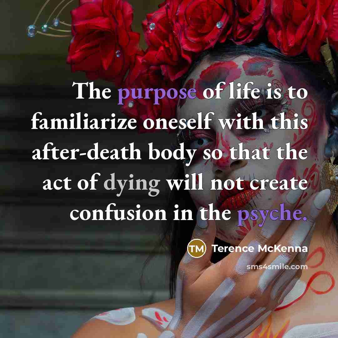 “The purpose of life is to familiarize oneself with this…” quote by Terence McKenna