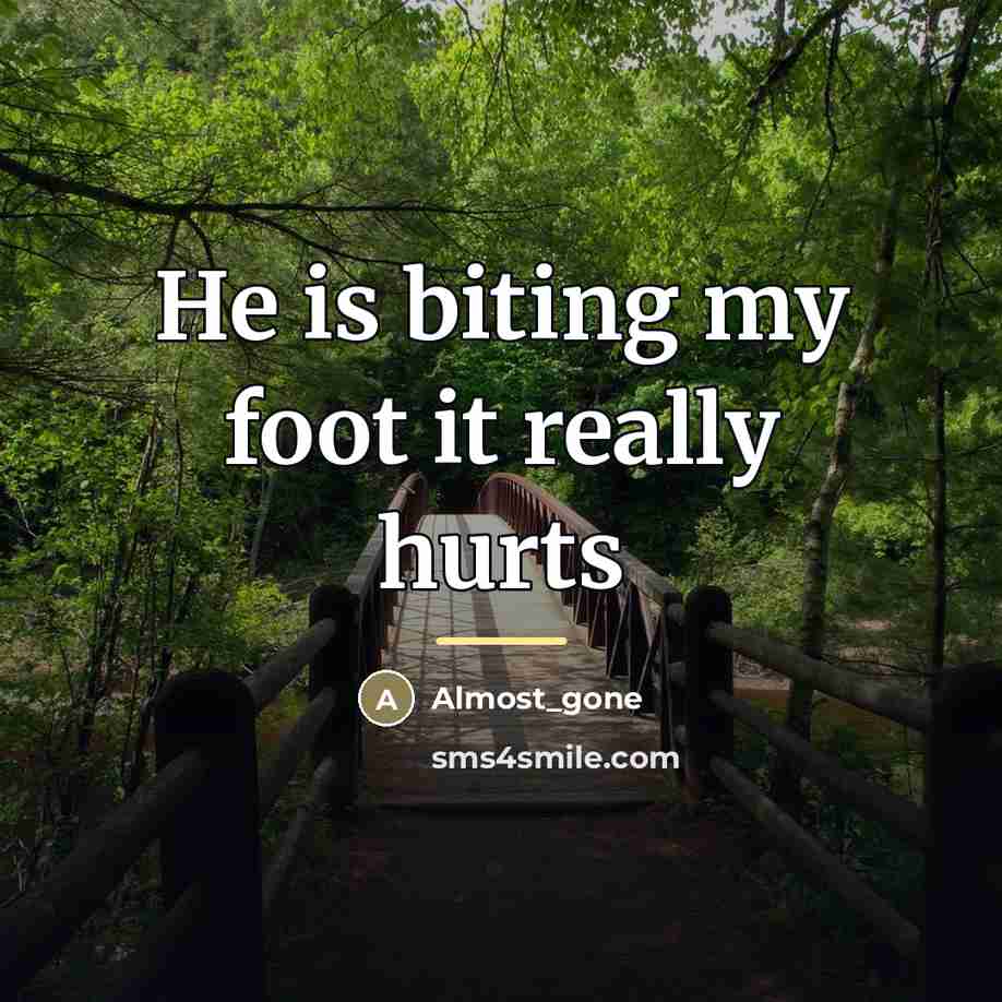 “He is biting my foot it really hurts…” quote by Almost_gone