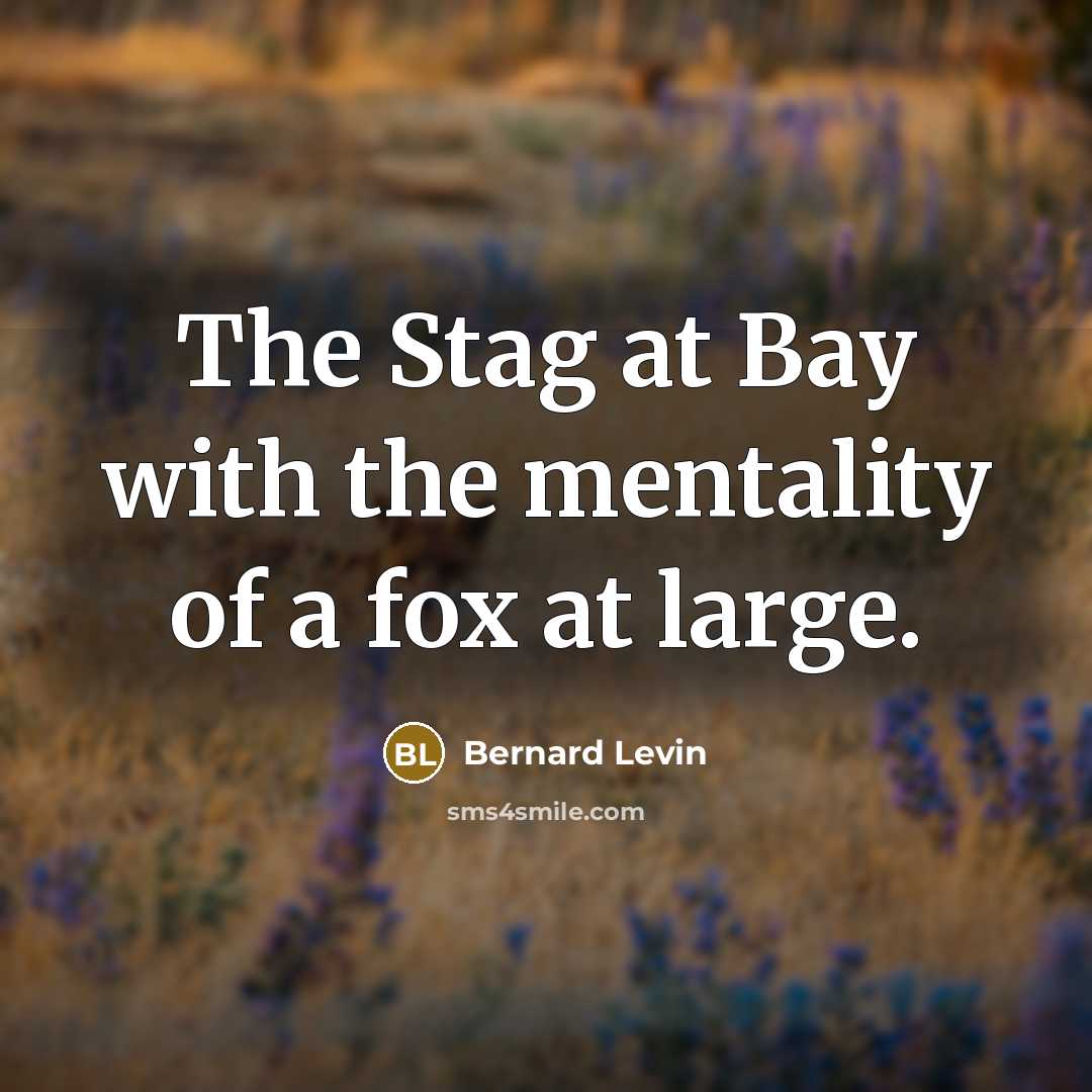 “The Stag at Bay with the mentality of a fox…” quote by Bernard Levin
