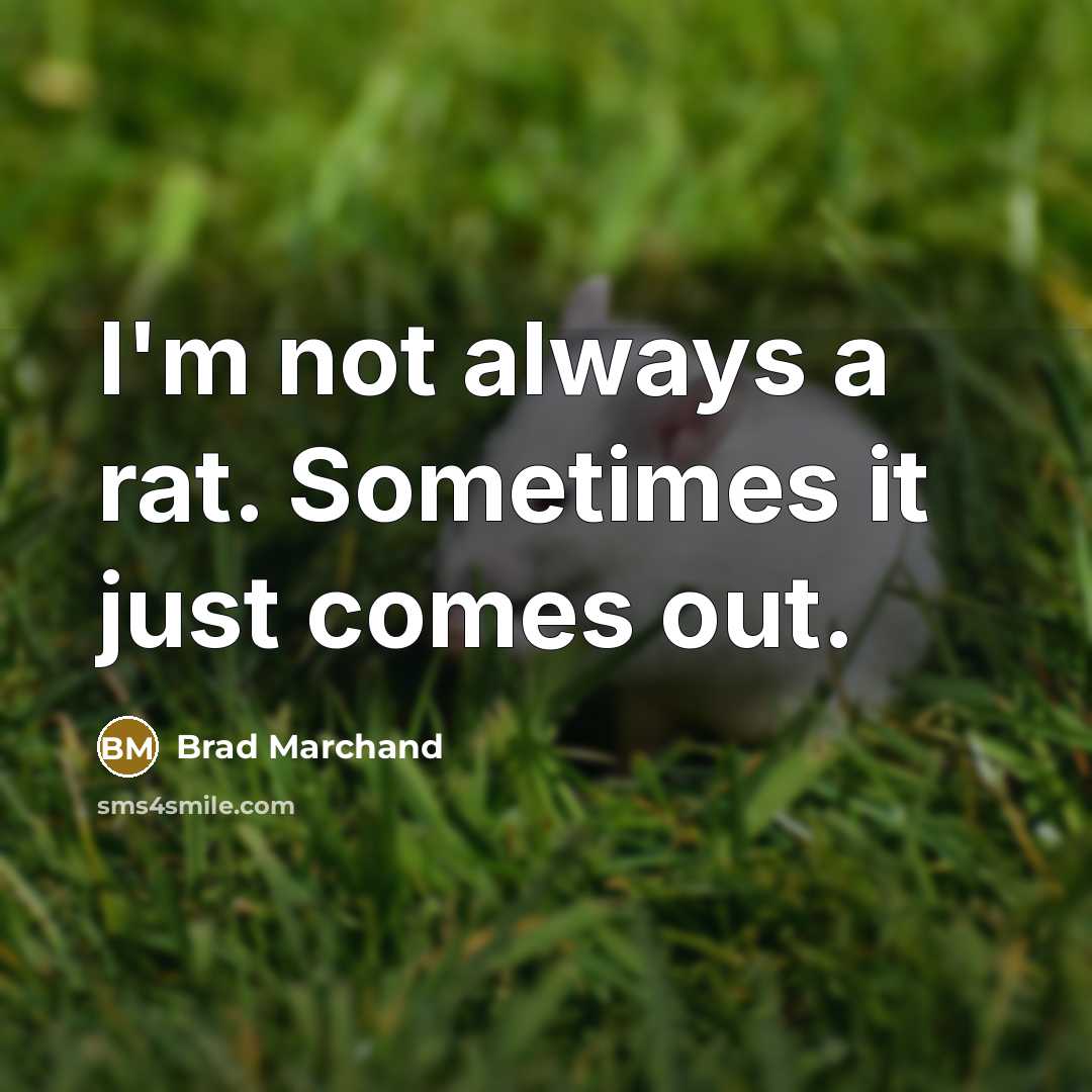 “I'm not always a rat. Sometimes it just comes out.…” quote by Brad Marchand
