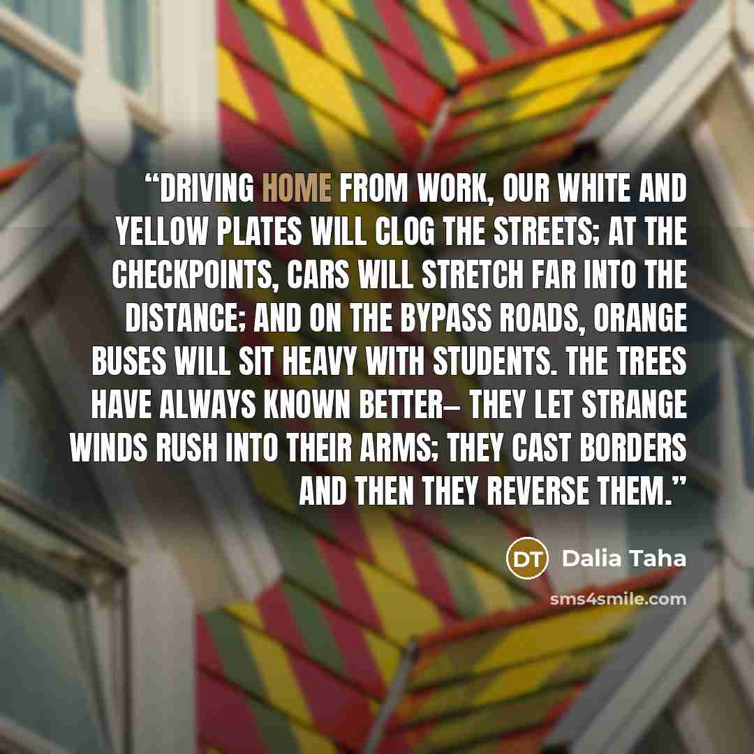 “Driving home from work, our white and yellow plates will clog the streets; at the checkpoints, cars will stretch far into the distance; and on the bypass roads, orange buses will sit heavy with students. The trees have always known better— they let strange winds rush into their arms; they cast…” quote by Dalia Taha