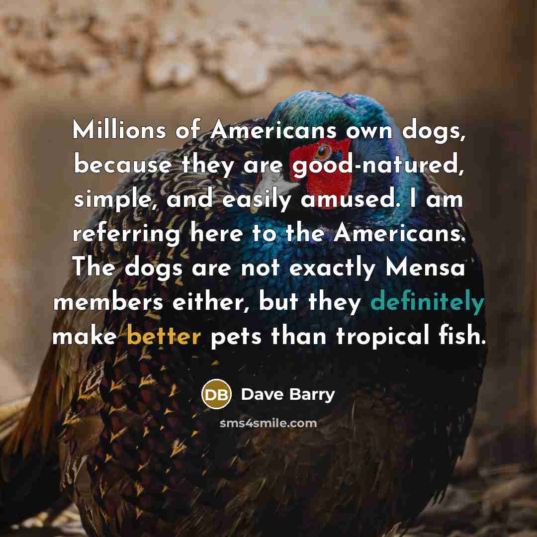 “Millions of Americans own dogs, because they are good-natured, simple,…” quote by Dave Barry