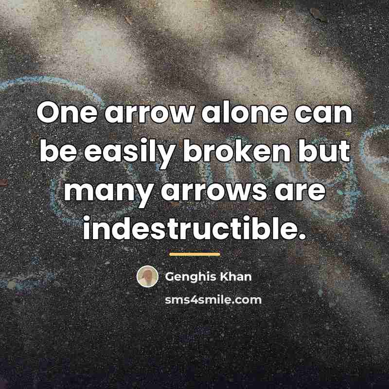 “One arrow alone can be easily broken but many arrows…” quote by Genghis Khan