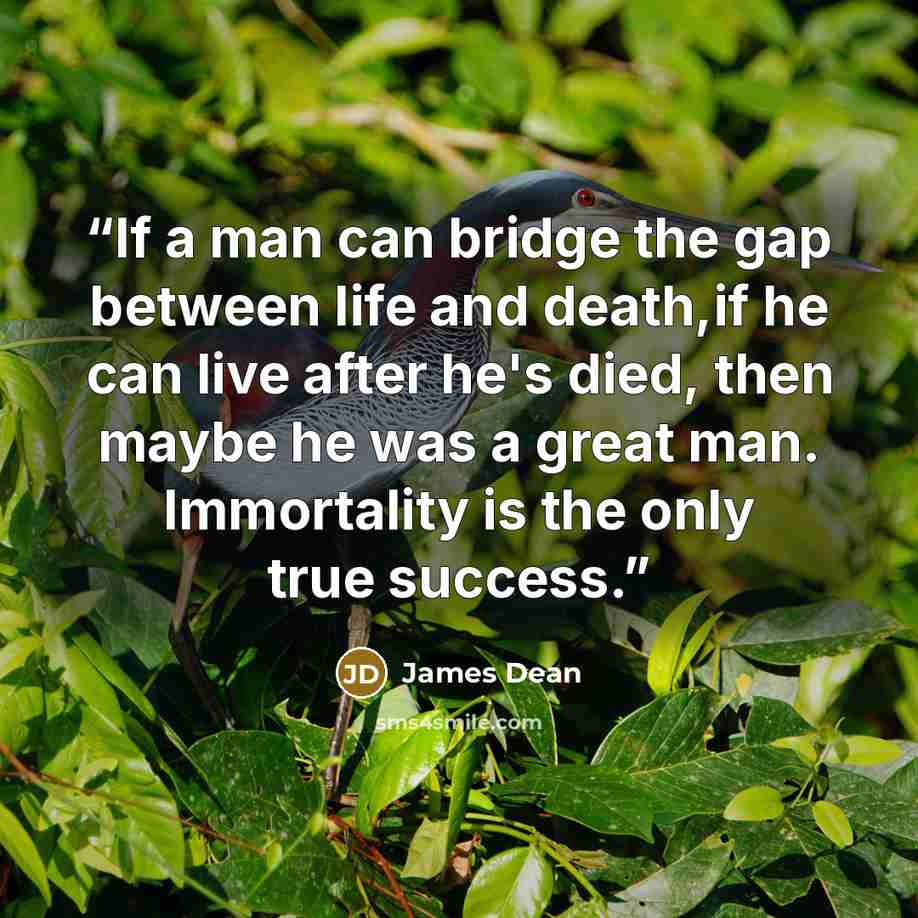 “If a man can bridge the gap between life and death,if he can live after he's died, then maybe he was a great man. Immortality is the only true success.” quote by James Dean