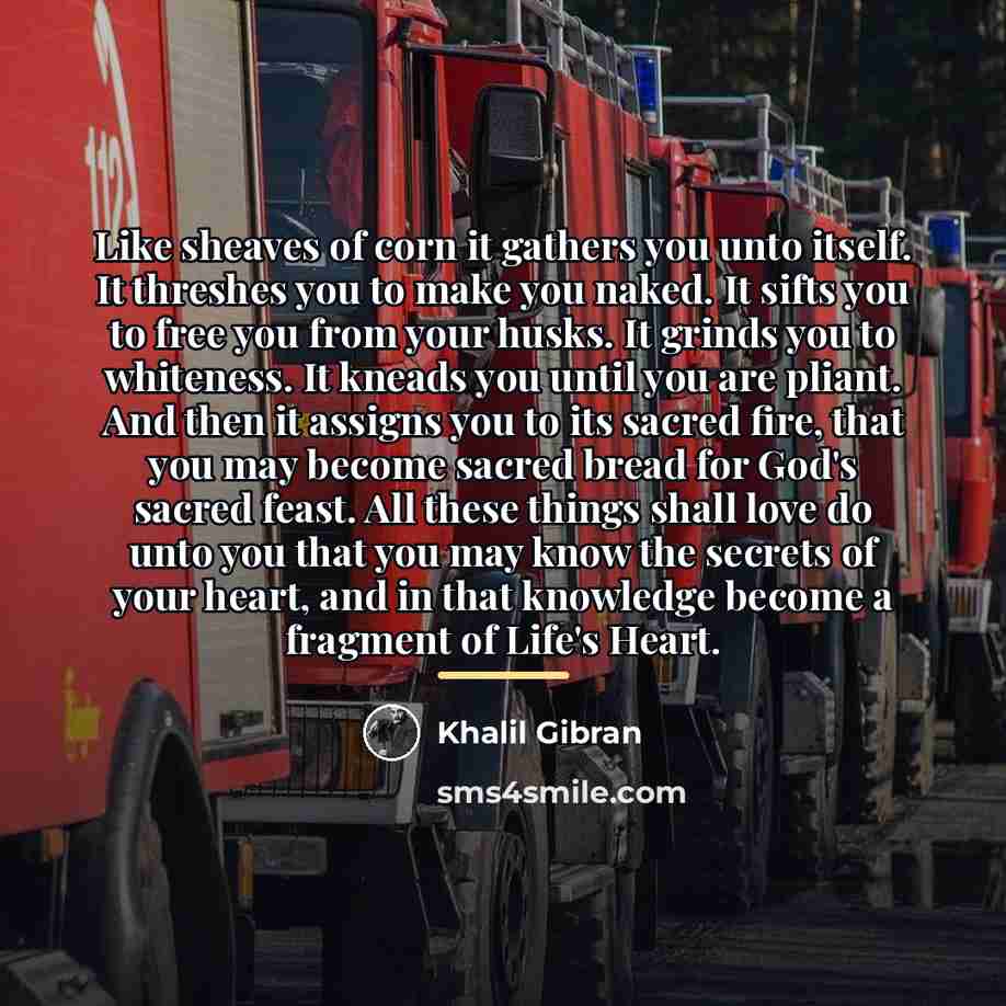 “Like sheaves of corn it gathers you unto itself. It…” quote by Khalil Gibran