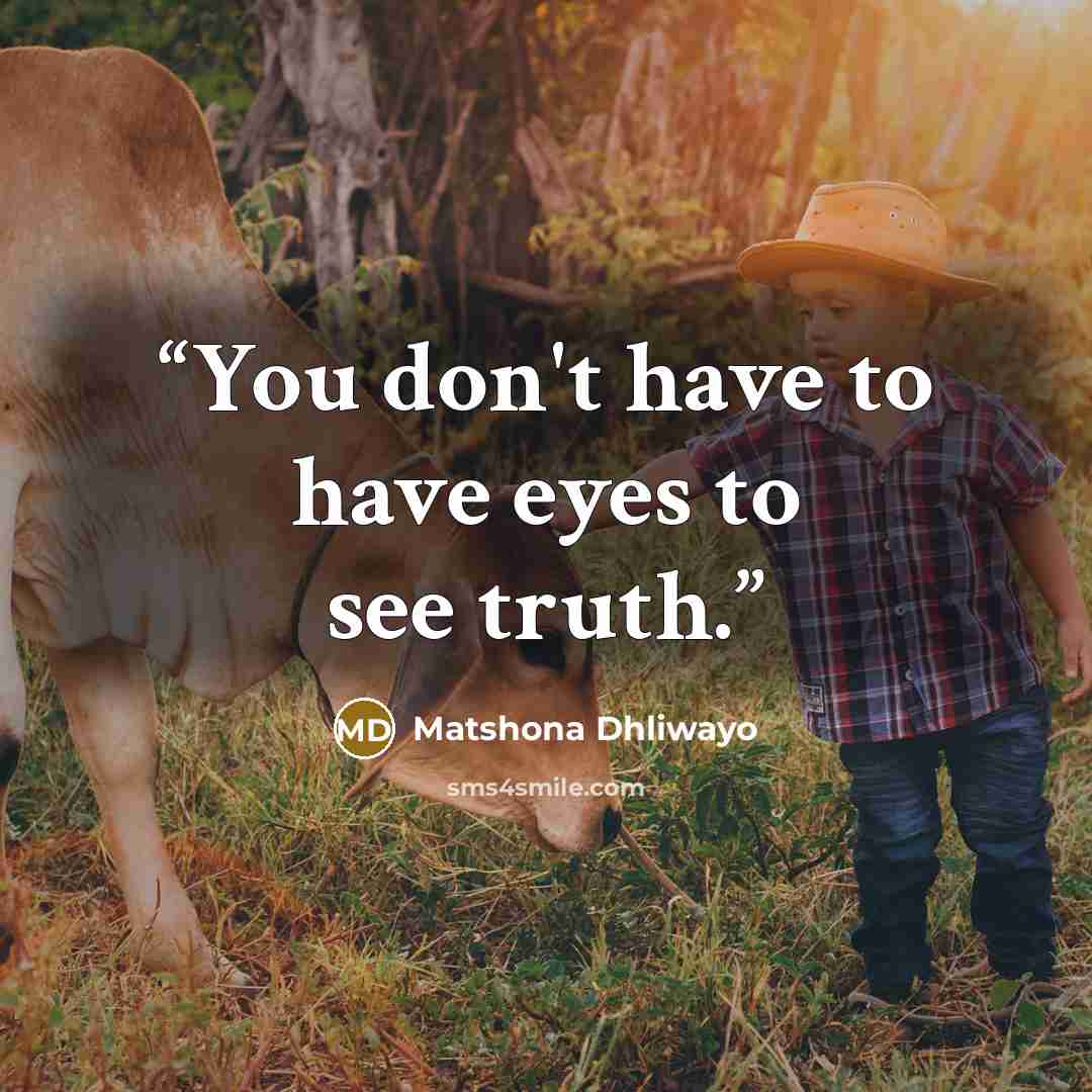 “You don't have to have eyes to see truth.” quote by Matshona Dhliwayo
