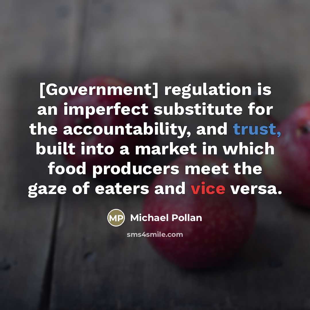 “[Government] regulation is an imperfect substitute for the accountability, and…” quote by Michael Pollan