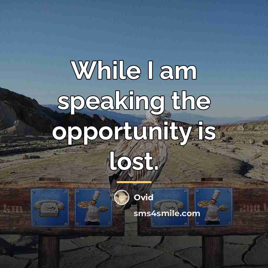 “While I am speaking the opportunity is lost.…” quote by Ovid