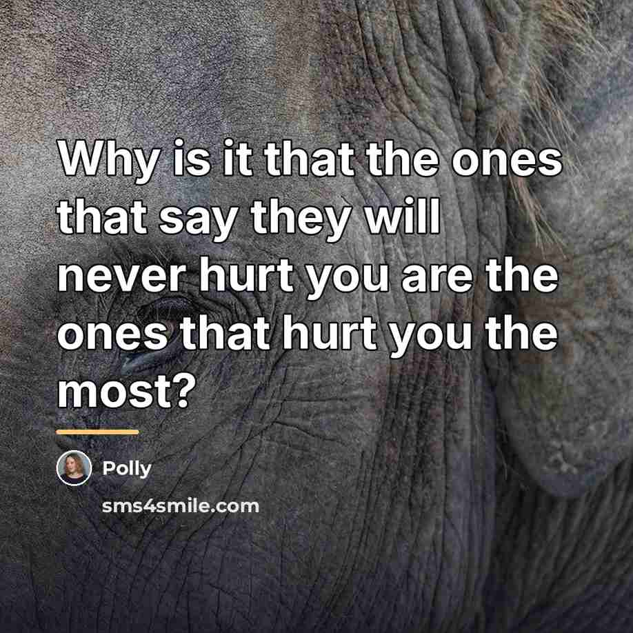 “Why is it that the ones that say they will…” quote by Polly