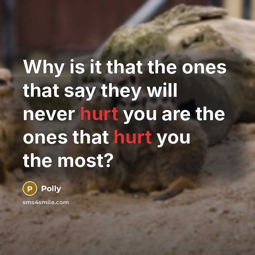 “Why is it that the ones that say they will never hurt you are the ones that hurt you the most?” quote by Polly