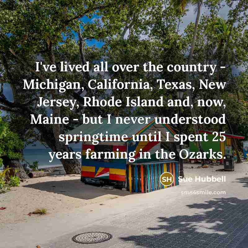 “I've lived all over the country - Michigan, California, Texas,…” quote by Sue Hubbell