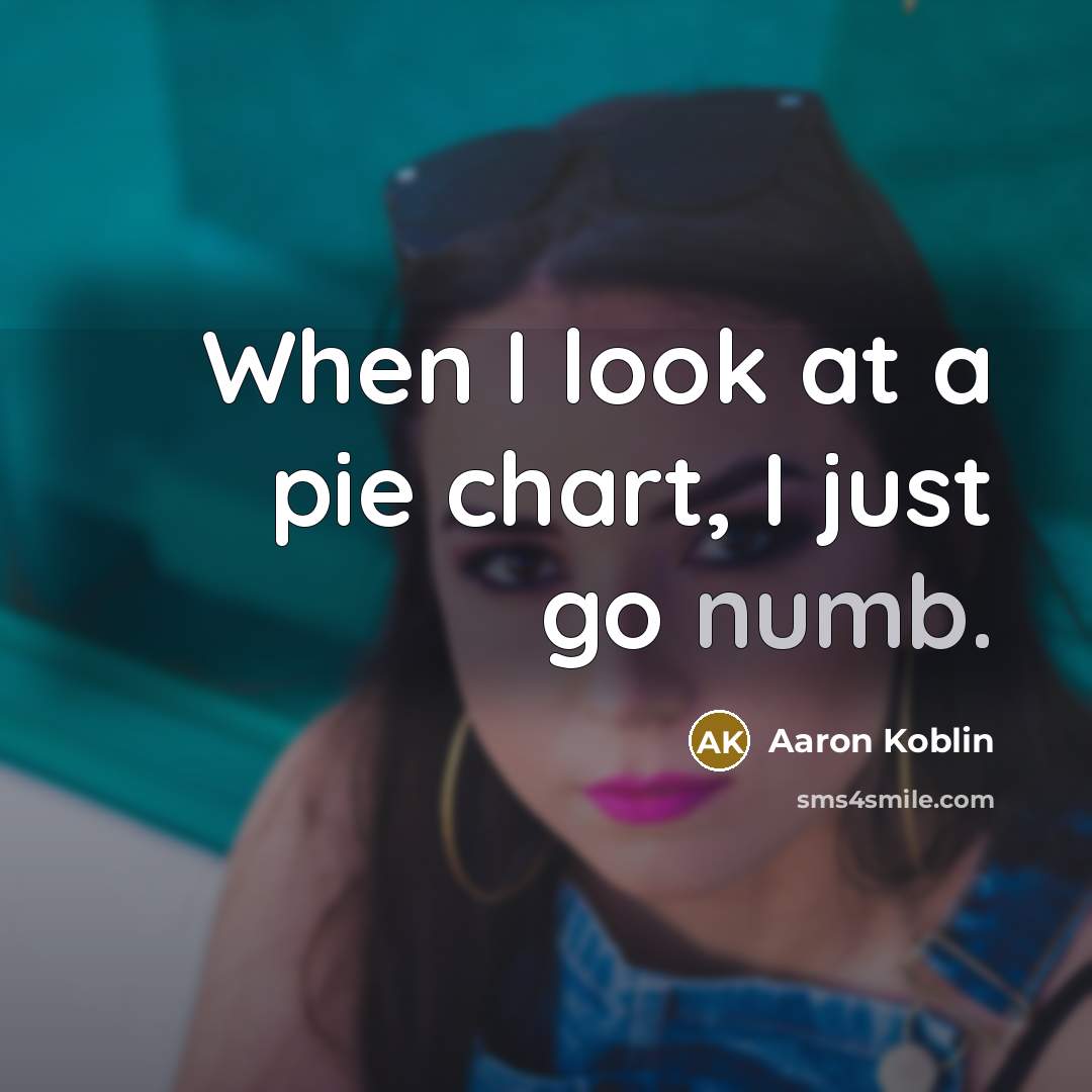 “When I look at a pie chart, I just go…” quote by Aaron Koblin