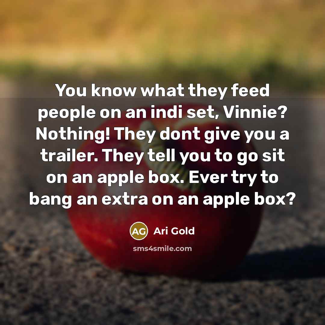 “You know what they feed people on an indi set, Vinnie? Nothing! They dont give you a trailer. They tell you to go sit on an apple box. Ever try to bang an extra on an apple box?” quote by Ari Gold