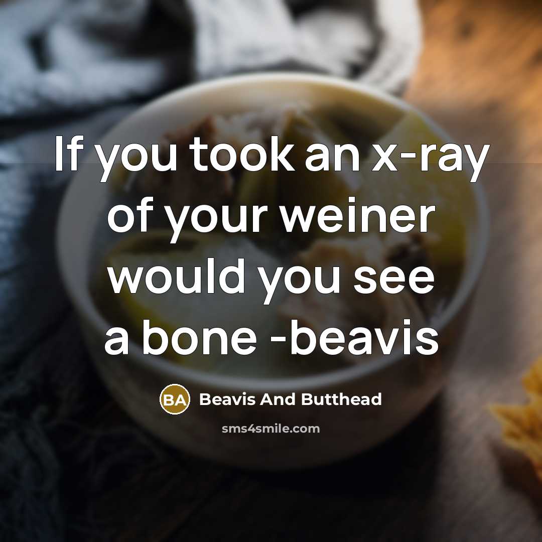 “If you took an x-ray of your weiner would you see a bone -beavis” quote by Beavis And Butthead