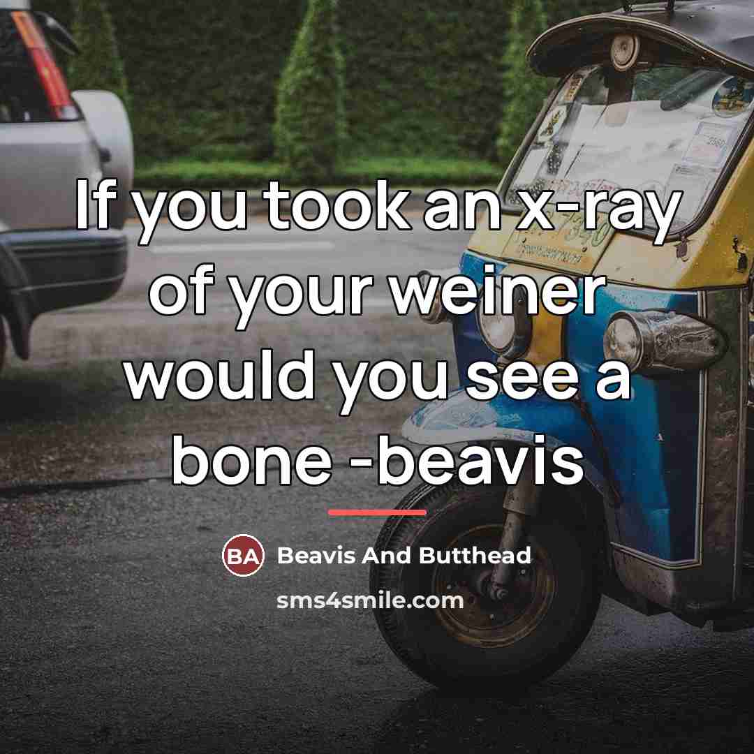 “If you took an x-ray of your weiner would you…” quote by Beavis And Butthead