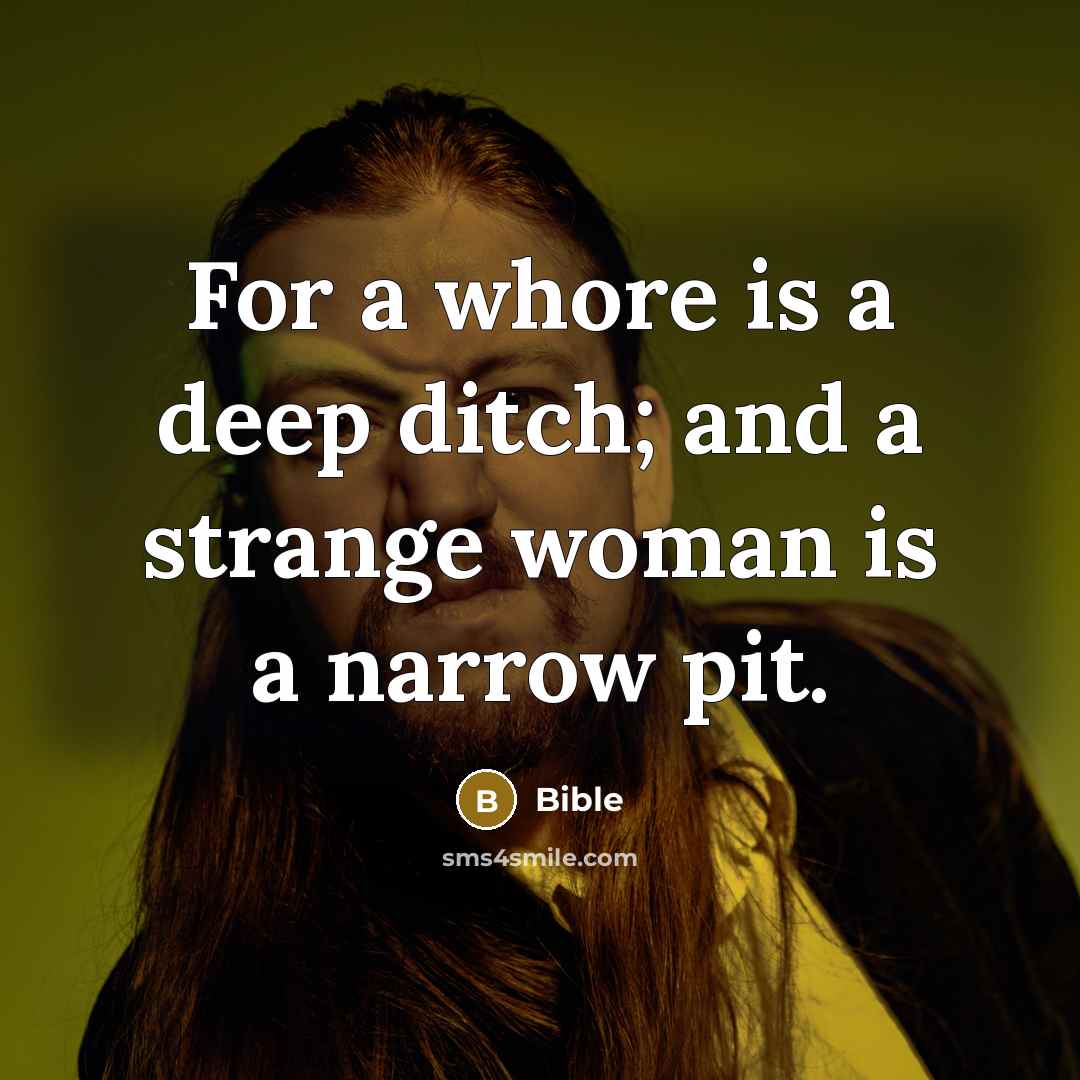 “For a whore is a deep ditch; and a strange…” quote by Bible