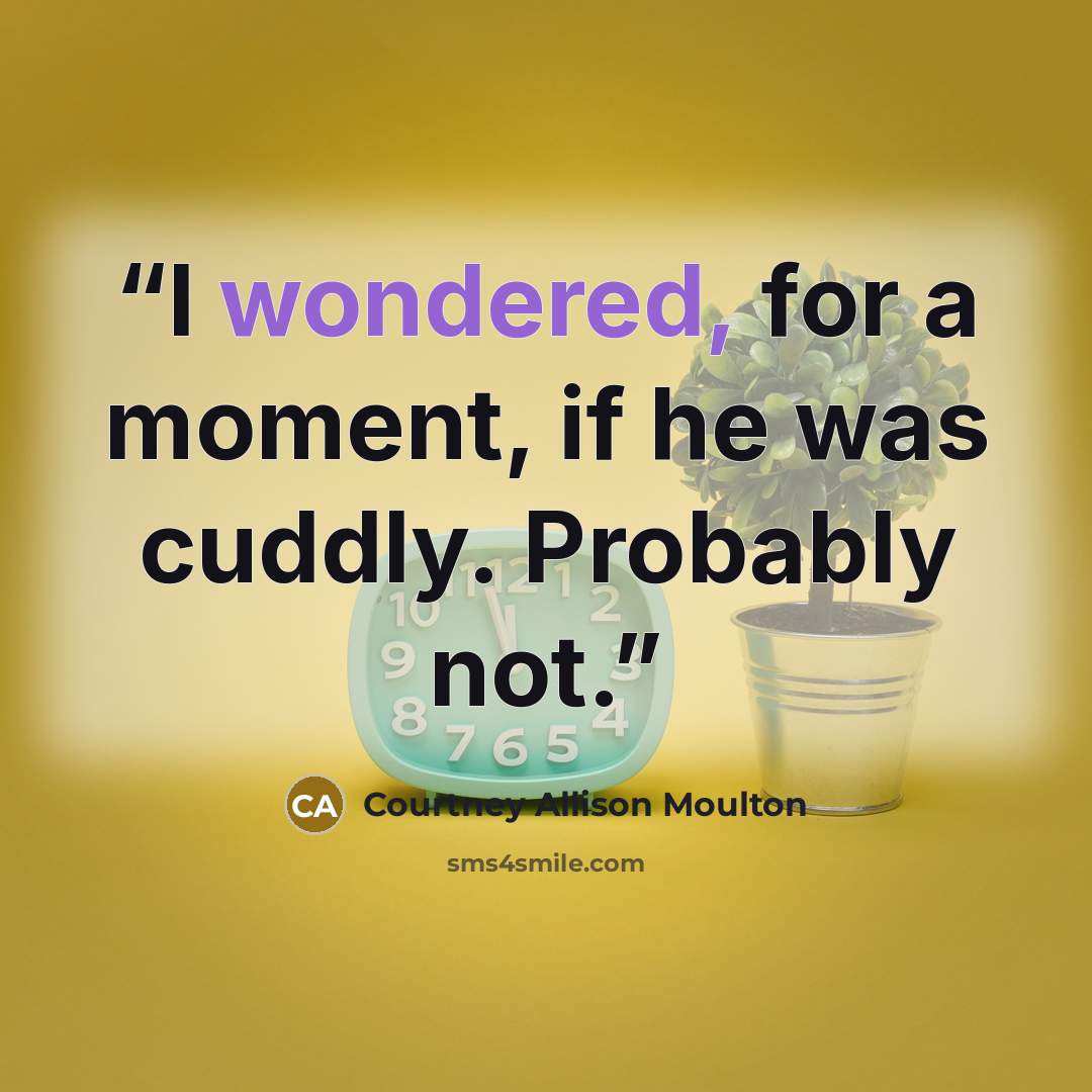 “I wondered, for a moment, if he was cuddly. Probably not.” quote by Courtney Allison Moulton