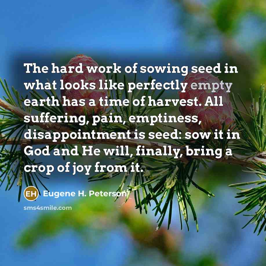 “The hard work of sowing seed in what looks like…” quote by Eugene H. Peterson