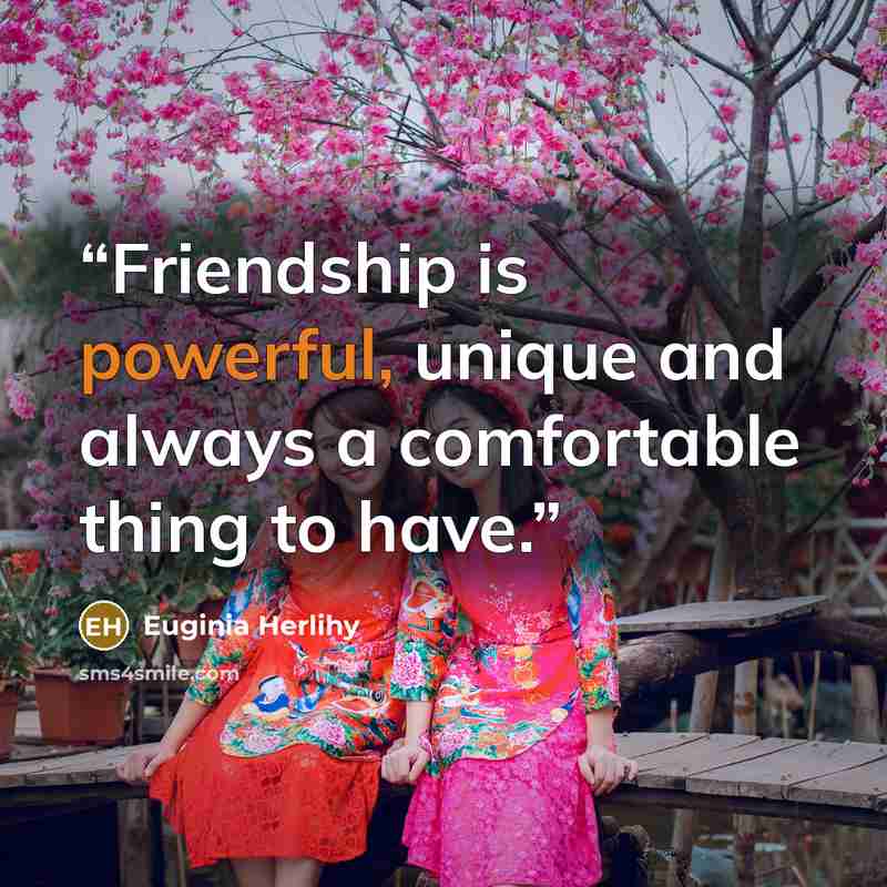 “Friendship is powerful, unique and always a comfortable thing to have.” quote by Euginia Herlihy