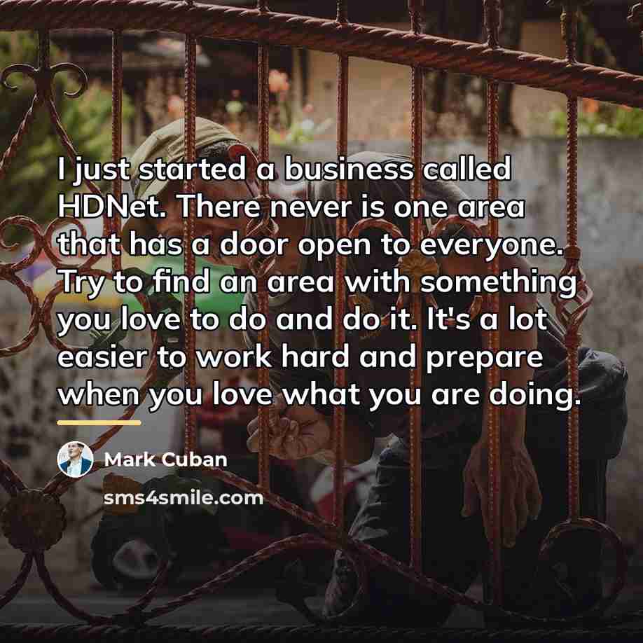 “I just started a business called HDNet. There never is…” quote by Mark Cuban