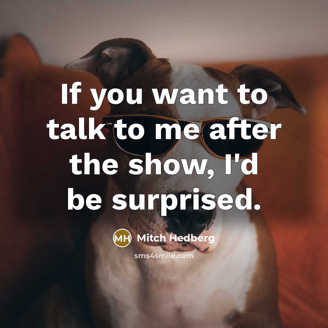 “If you want to talk to me after the show,…” quote by Mitch Hedberg