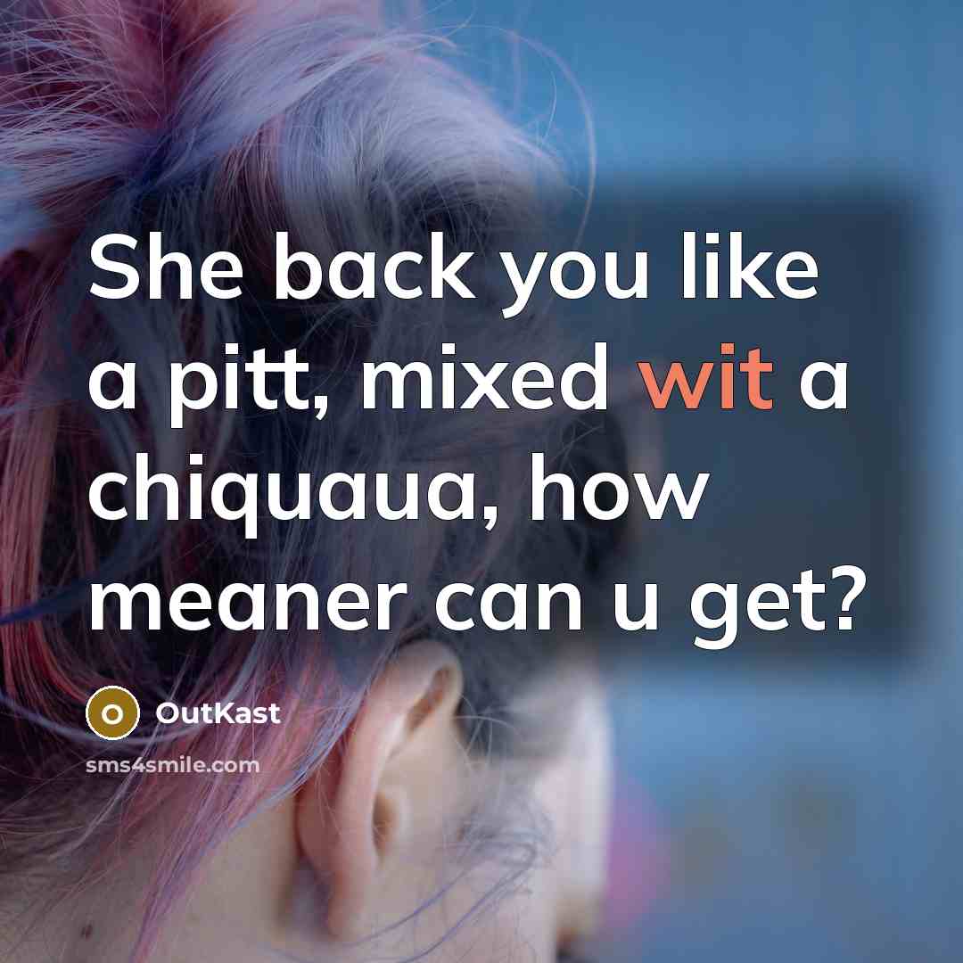 “She back you like a pitt, mixed wit a chiquaua,…” quote by Outkast