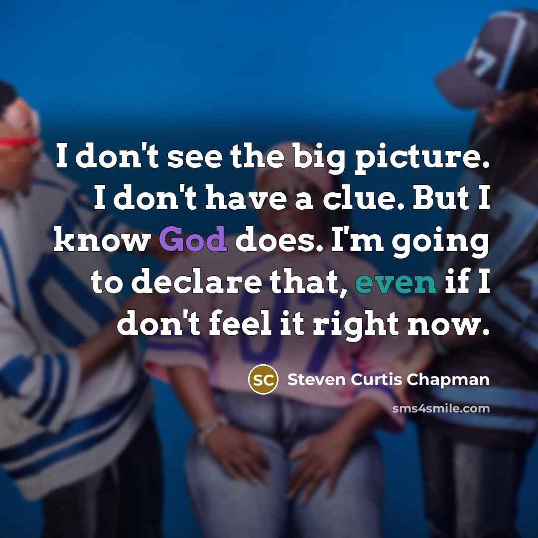 “I don't see the big picture. I don't have a…” quote by Steven Curtis Chapman