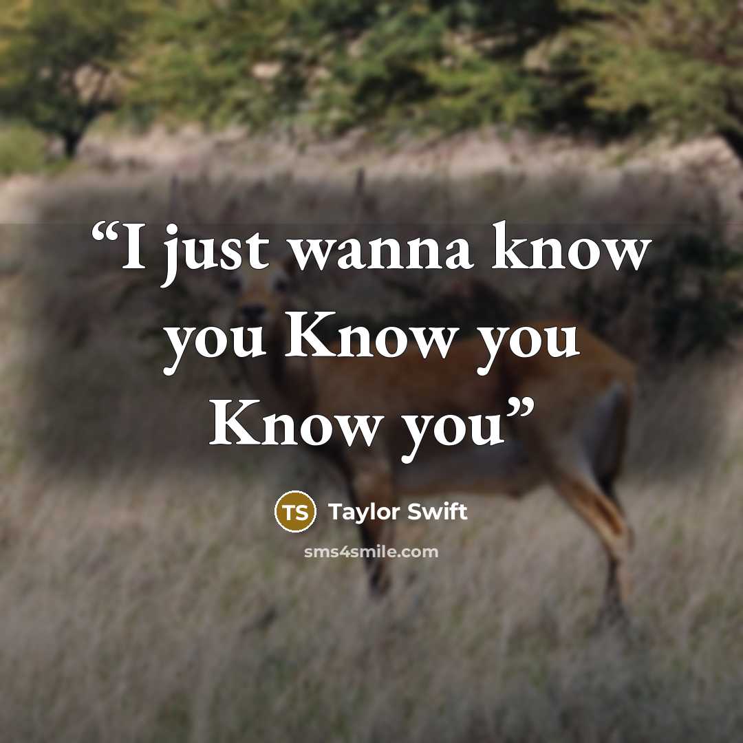 “I just wanna know you Know you Know you” quote by Taylor Swift