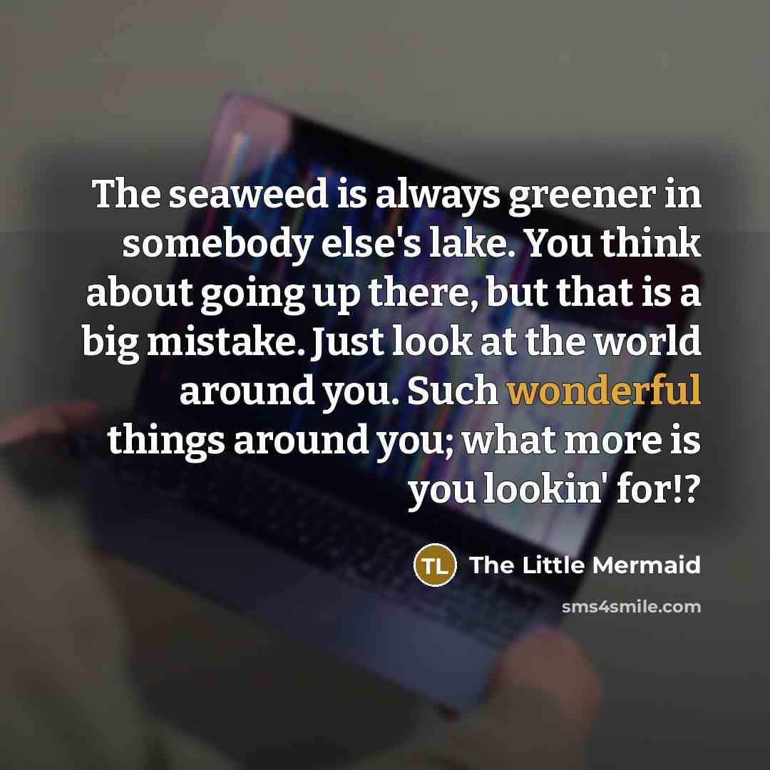 “The seaweed is always greener in somebody else's lake. You…” quote by The Little Mermaid