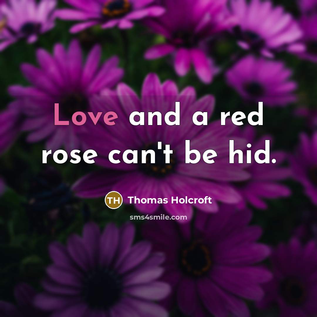 “Love and a red rose can't be hid.…” quote by Thomas Holcroft