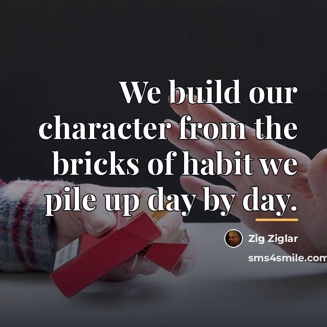 “We build our character from the bricks of habit we…” quote by Zig Ziglar