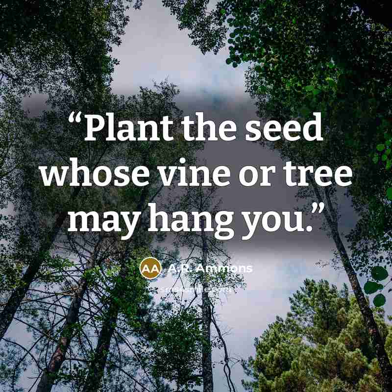 “Plant the seed whose vine or tree may hang you.” quote by A.R. Ammons