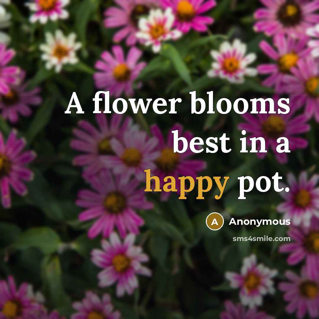 “A flower blooms best in a happy pot.…” quote by Anonymous